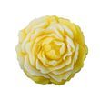 黄色月季花皂